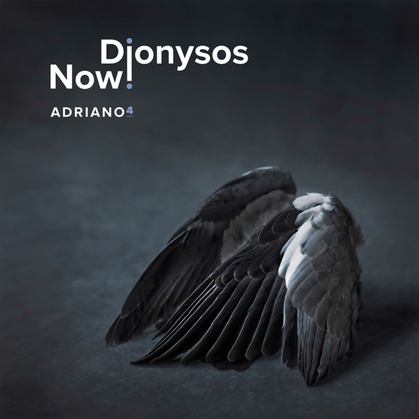 Dionysosplaat LR